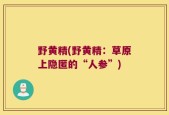 野黄精(野黄精：草原上隐匿的“人参”)