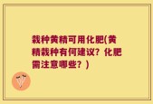 栽种黄精可用化肥(黄精栽种有何建议？化肥需注意哪些？)
