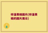 梓潼黄精图片(梓潼黄精的图片展示)