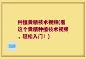种植黄精技术视频(看这个黄精种植技术视频，轻松入门！)