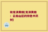 和龙滇黄精(龙滇黄精：云南山区的特色中药材)