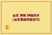 山东 黄精 种植技术(山东黄精种植技巧)