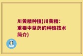 川黄精种植(川黄精：重要中草药的种植技术简介)