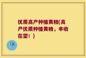 优质高产种植黄精(高产优质种植黄精，丰收在望！)
