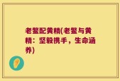 老鳖配黄精(老鳖与黄精：坚毅携手，生命涵养)