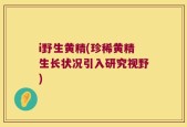i野生黄精(珍稀黄精生长状况引入研究视野)