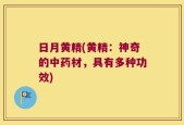 日月黄精(黄精：神奇的中药材，具有多种功效)