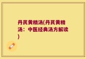 丹芪黄精汤(丹芪黄精汤：中医经典汤方解读)