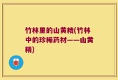 竹林里的山黄精(竹林中的珍稀药材——山黄精)