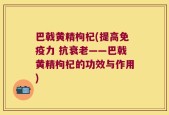 巴戟黄精枸杞(提高免疫力 抗衰老——巴戟黄精枸杞的功效与作用)