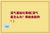 湿气重能吃黄精(湿气重怎么办？黄精来解救！)