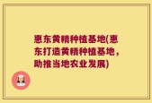 惠东黄精种植基地(惠东打造黄精种植基地，助推当地农业发展)