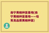 南宁黄精种苗基地(南宁黄精种苗基地——培育高品质黄精种苗)