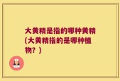 大黄精是指的哪种黄精(大黄精指的是哪种植物？)