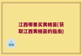 江西哪里买黄精苗(获取江西黄精苗的指南)