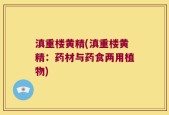 滇重楼黄精(滇重楼黄精：药材与药食两用植物)