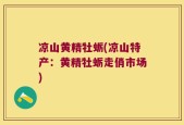 凉山黄精牡蛎(凉山特产：黄精牡蛎走俏市场)
