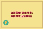 山顶黄精(登山寻宝：寻找神奇山顶黄精)