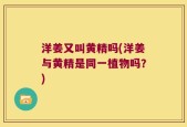 洋姜又叫黄精吗(洋姜与黄精是同一植物吗？)