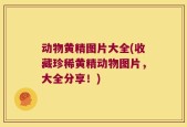 动物黄精图片大全(收藏珍稀黄精动物图片，大全分享！)