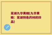 芜湖九华黄精(九华黄精：芜湖特色药材的珍品)