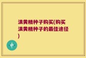 滇黄精种子购买(购买滇黄精种子的最佳途径)