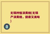 无锡种植滇黄精(无锡产滇黄精，健康又美味)