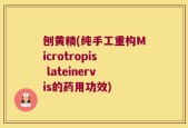 刨黄精(纯手工重构Microtropis lateinervis的药用功效)
