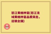怒江黄精种苗(怒江流域黄精种苗品质突出，远销全国)