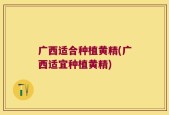 广西适合种植黄精(广西适宜种植黄精)