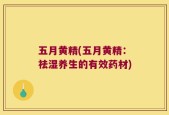 五月黄精(五月黄精：祛湿养生的有效药材)