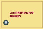 上山挖黄精(登山搜索黄精秘密)
