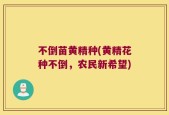 不倒苗黄精种(黄精花种不倒，农民新希望)