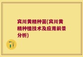 宾川黄精种苗(宾川黄精种植技术及应用前景分析)