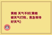 黄精 天气不好(黄精被天气打败，焦急等待好天气)