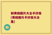 制黄精图片大全手抄报(黄精图片手抄报大合集)