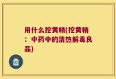 用什么挖黄精(挖黄精：中药中的清热解毒良品)