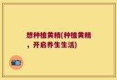 想种植黄精(种植黄精，开启养生生活)