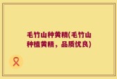 毛竹山种黄精(毛竹山种植黄精，品质优良)