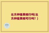 北方种植黄精行吗(北方种植黄精可行吗？)