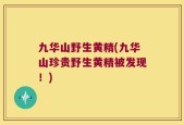 九华山野生黄精(九华山珍贵野生黄精被发现！)