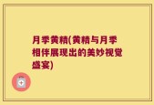 月季黄精(黄精与月季相伴展现出的美妙视觉盛宴)