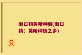 街口镇黄精种植(街口镇：黄精种植之乡)