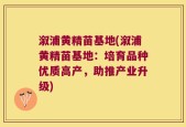 溆浦黄精苗基地(溆浦黄精苗基地：培育品种优质高产，助推产业升级)