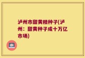 泸州市甜黄精种子(泸州：甜黄种子成十万亿市场)