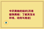 中药黄精的组织(药用植物黄精：了解其生长环境、功效与用途)