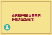 山黄精种植(山黄精的种植方法及技巧)