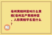 亳州黄精种苗叫什么黄精(亳州出产黄精种苗，人称黄精学名是什么？