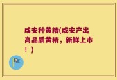 咸安种黄精(咸安产出高品质黄精，新鲜上市！)