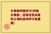 大黄精种植种子(种植大黄精，选择适宜纬度和土壤的品种种子很重要)
